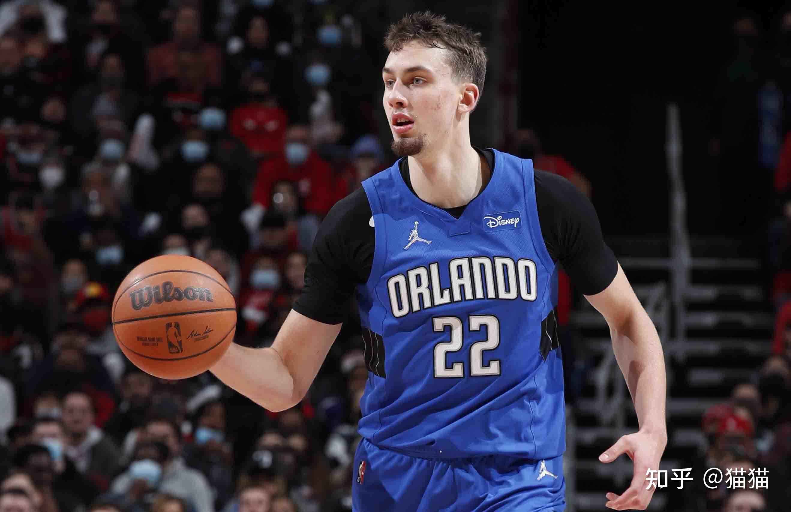 东方神鹿 东方神鹿